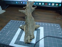 Natural Lightning Struck Tree Stump for Reptile Enclosure/Tank/Aquarium/Atrium