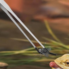 Rubber Tip Reptile Feeding Aquarium Tongs Tweezer Stainless Steel Bearded Tongs