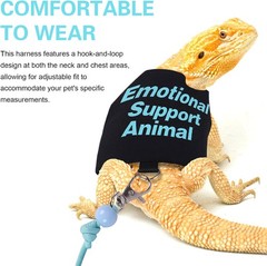 Bearded Dragon Harness and Leash Set Adjustable Reptile Lizard Medium, Blue