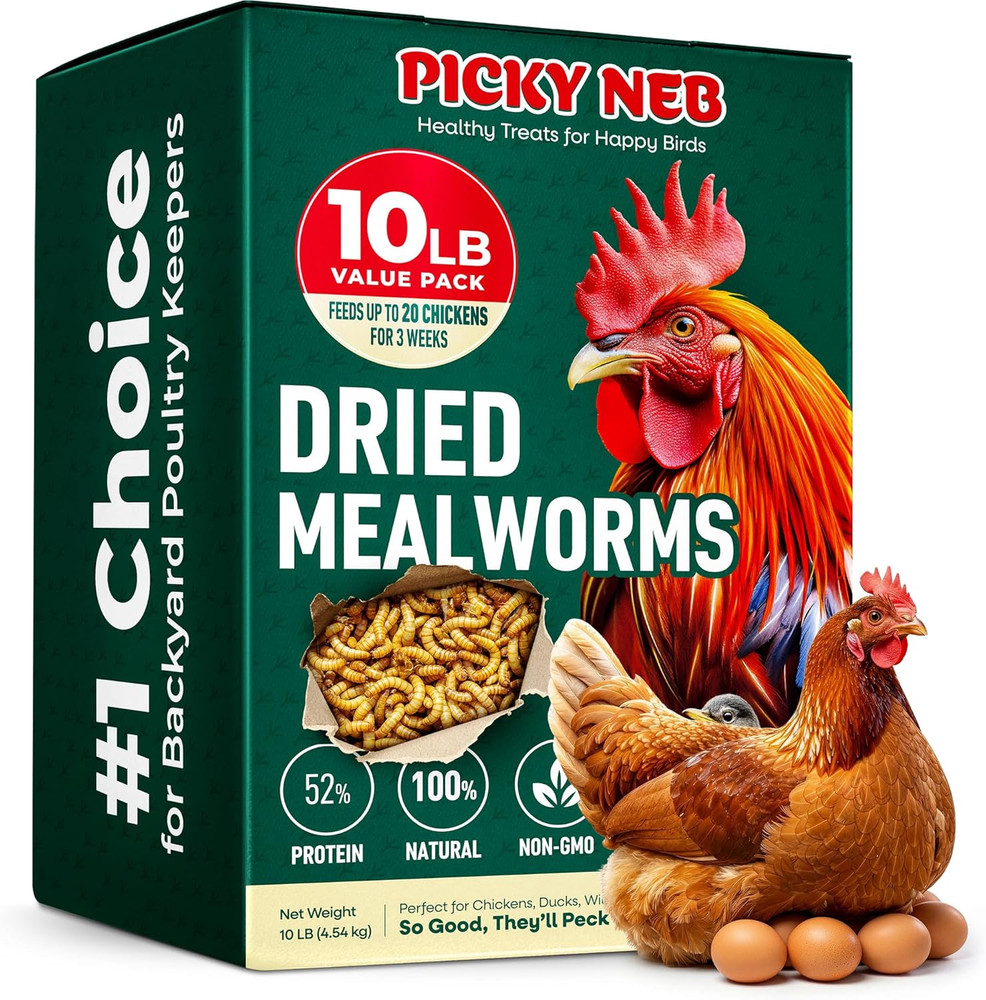 Dried Mealworms 100% Non-Gmo 10 Lb – Mealworms for Birds, Chickens, Ducks – Perf