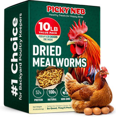 Dried Mealworms 100% Non-Gmo 10 Lb – Mealworms for Birds, Chickens, Ducks – Perf