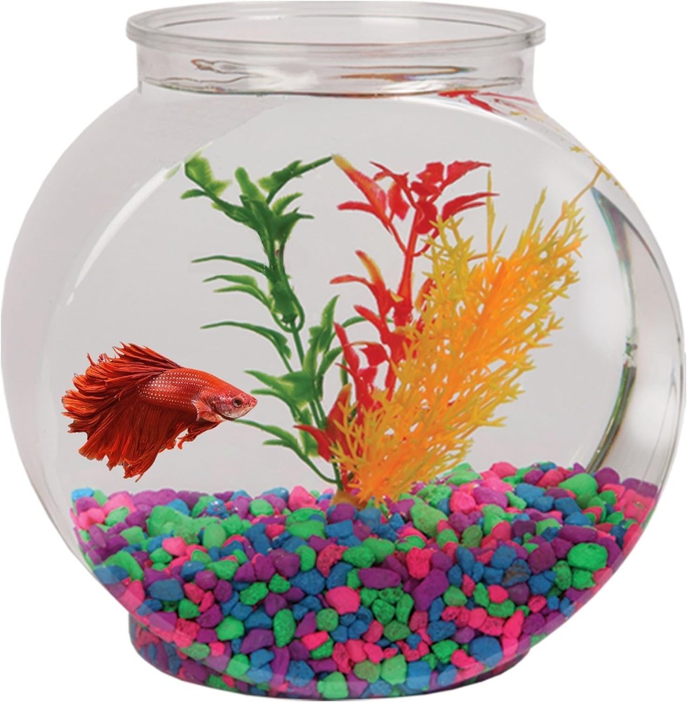 Koller Products 1-Gallon Fish Bowl, Impact-Resistant 1 Gallon, Drum Shape
