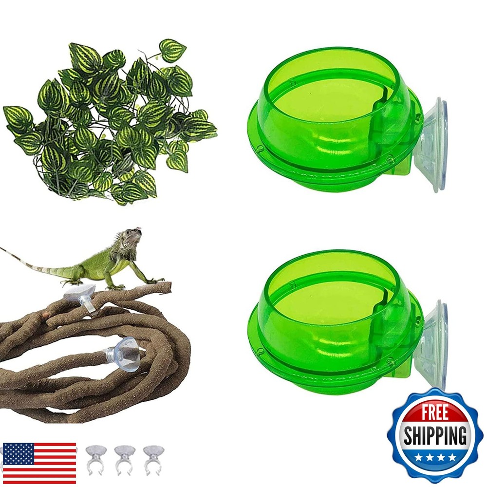 PINVNBY Reptile Suction Cup Feeder,Chameleon Feeding Food Bowl,Translucent An