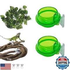 PINVNBY Reptile Suction Cup Feeder,Chameleon Feeding Food Bowl,Translucent An