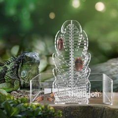 Bearded Dragon Bug Feeder Box – Clear Acrylic Climbing Bowl for Gecko, Chameleon