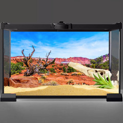 48X24 Inches Reptile Habitat Background Blue Sky Oasis Orange Desert Terrarium B