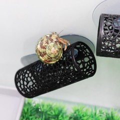 2 Pack Reptile Hide W/ Suction Cups Hollowed-Out Hideout & Caves Hermit Crabs