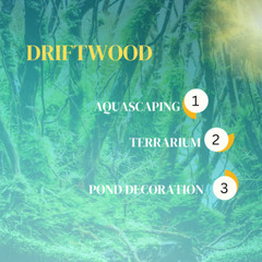 NATURAL MANGROVE DRIFTWOOD #M111 WYSIWYG – AQUASCAPING, SUPER PRICE!! DECORATION