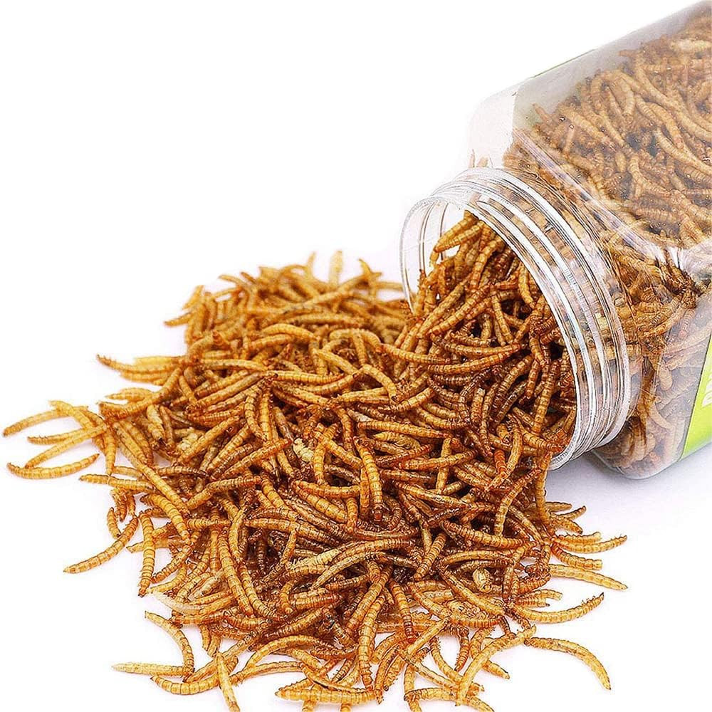 Reptile Food Dried Mealworms Pet Worms Food for Bearded Dragon, Lizard, Turtles,
