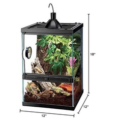 Terrarium 11 Gallon Glass Tropical Vertical Habitat Starter Kit