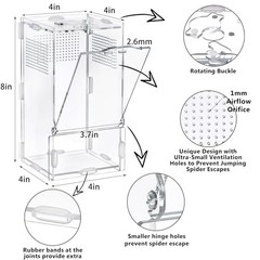 VERTUPET Jumping Spider Enclosure | 360° Clear View | Durable Acrylic