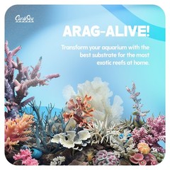 CaribSea Arag-Alive Bimini Pink Special Grade Reef Sand – 20 lbs – Natural Su…