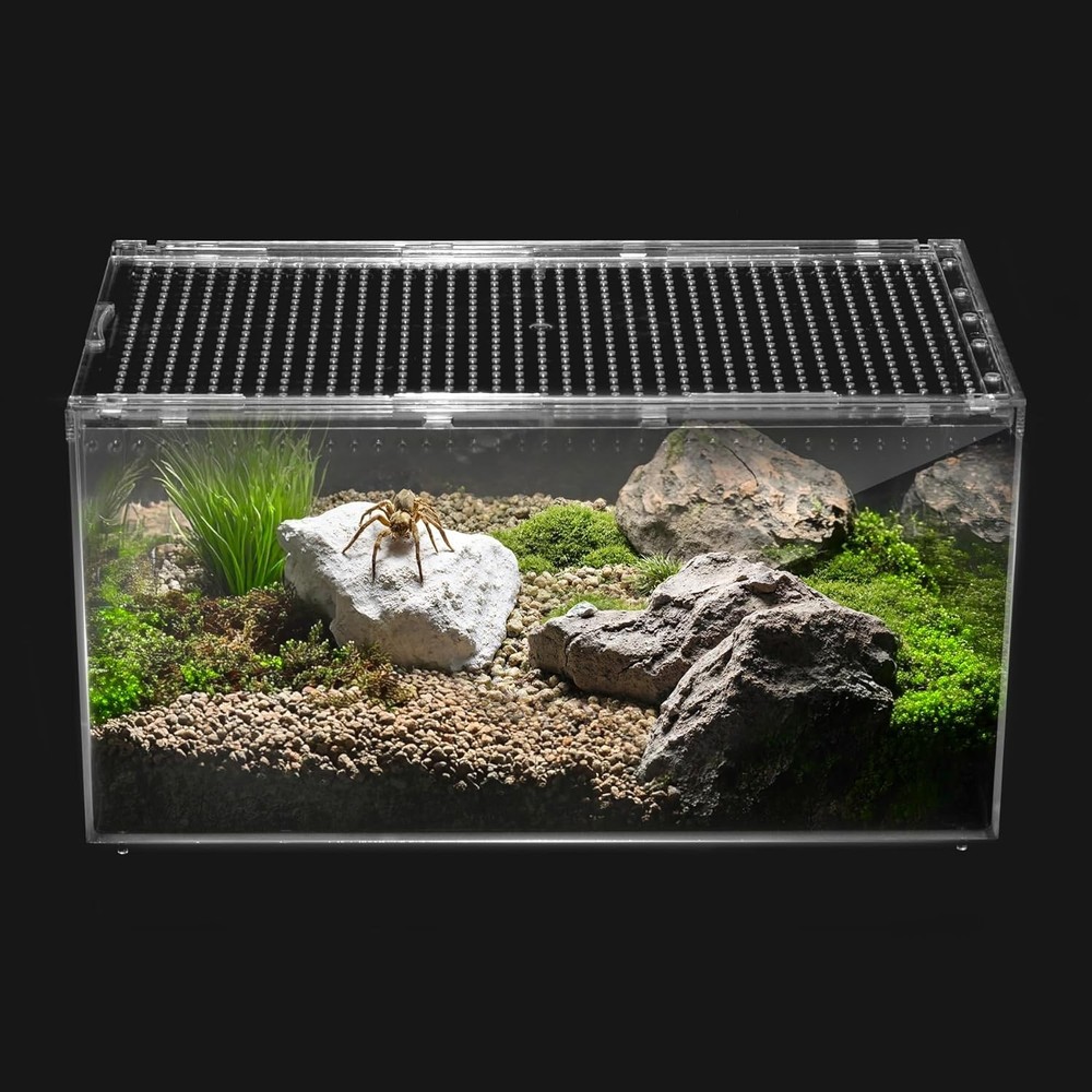 Reptile Terrarium Tarantula Spider Enclosure Tank Leopard Gecko Habitat Toy