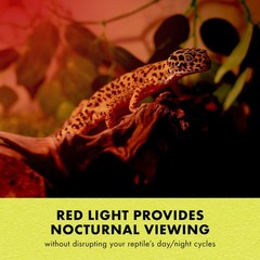 Zilla Incandescent Spot Bulb For Reptiles Night Red Terrarium Heat Light Bulb