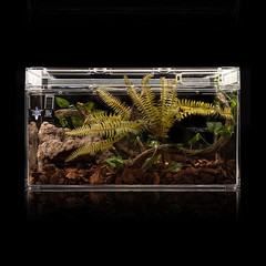 Reptile Simulation Rock Cave Hideouts Terrarium Habitat Décor Bearded Dragon Hid