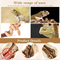 Janinka Wood Reptile Branch 10-12″