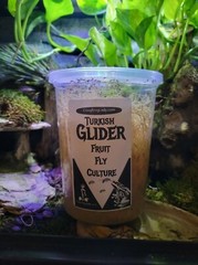Fruit Fly Culture 8Pack Variety Live Flightless Turkish Gliders Golden and Hydei