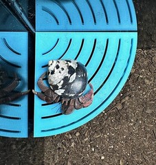 Hermit Crab Climbing Corner Stand Tank Ornament Hide Cave Accessories Supplies