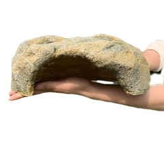 Reptile Hide Extra Large 12″W X 10″D X 3.5″H Resin Snake Cave – Secure Habitat