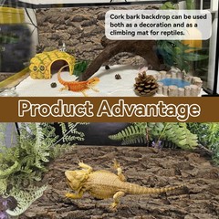 2PCS Reptile Cork Bark Background,15.74 x 11.81 Inch Natural Cork Wood Terrar…