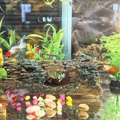 Reptile Hide Cave Resin Log Aquarium Ornament For Gecko Fish 7.3×2.7×2.7 Inch