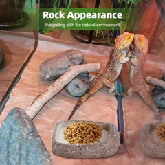 Reptile Feeding Dish, Water Dish and Food Bowl, Resin Rock Reptile Feeding Te…
