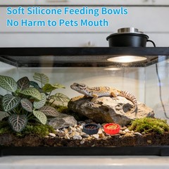 12 Pack Multicolor Silicone Gecko Feeding Bowls Small Reusable Cups