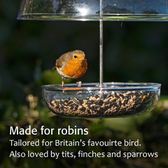 Mealworm Feeder – Jacobi Jayne® Pearl Feeder – Dome Bird Feeder for Small B