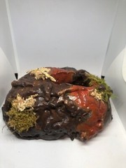 Reptile Medium Desert Magnetic Hides For Terrariums And Cages