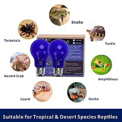Aiicioo Dimmable Reptile Heat Lamp -40 Watt Daylight Blue Reptile Bulb (2*2Pack)
