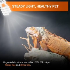 UVB Light for Desert Reptile 2 Pack, 10.0 26W UVA UVB Reptile Light Bulb, UVB…