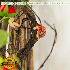 Medium Reptile Vines 118″ Green, Flexible Terrarium Climbing Branch for Lizards