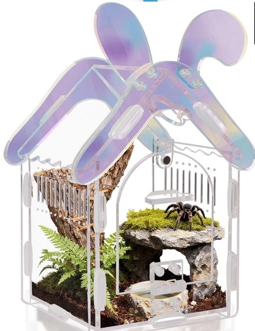 Acrylic Jumping Spider Enclosure with Magnetic Lock 3mm Clear Terrarium Habitat