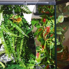 9-Piece Reptile Jungle Vines Decor Set – Bendable Climbing Plants with Suction C