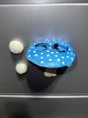 BLUE reptile magnetic mushroom feeder Ledge With 2 Beer Savers