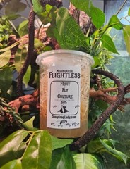 Flightless Fruit Fly Cultures 2 Pack+ 2 Pack of Wingless Total of 4 CULTURES.