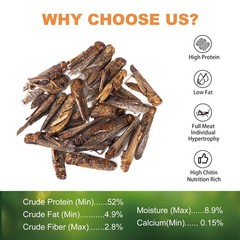 Dried Grasshoppers for Reptiles – All Natural High Protein Insect Treats for …
