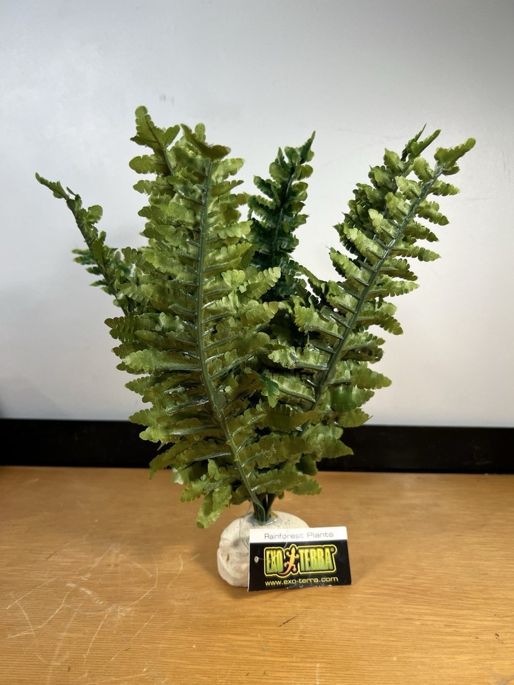 Exo Terra Boston Fern Artificial Plant for Terrariums Multi Color Medium Size