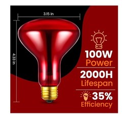 Dual Reptile Lamp Fixture with 100W Daytime Heat & 100W Nighttime