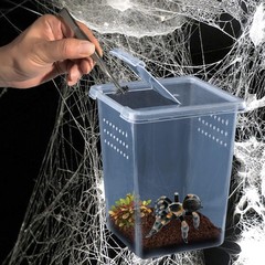 4 PCS Insect Spider Terrariums Breeding Box Hatching Container Arboreal
