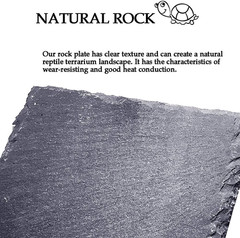 Reptile Basking Platform (7.9 x 11.8 inches), Natural Rock Plate Turtle Food Bow