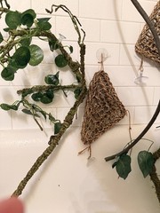 Reptile Habitat Accessories Bundle for Terrarium