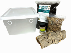 Vivarium Accessories 16-Quart Starter Kit for Isopod Reptiles Bugs Amphibians