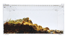 Acrylic Enclosure Terrarium Large 12”(L) x 8”(W) x 6”(H) Reptile, Snake, Spider