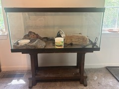 Glass Reptile Terrarium Tank Enclosure w/ Screen Top, Heat Lamp Fixture & Stand