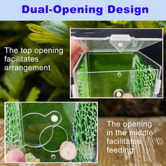 Acrylic Jumping Spider Enclosure,Reptile Enclosure,Bug Habitat, for Small Tree D