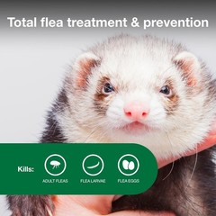 Ferret Flea Treatment Topical Prevention 1+ lbs 2 Month Supply Water-Resistant