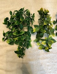 5- Reptile, Snake, Chameleon Vivarium Hanging Plants Artificial Vines Exo-Terra