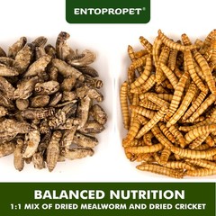Dried Mealworms and Dried Crickets – Higher in Calcium and Richer in Protein-…