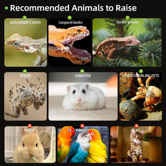 Jumping Spider Enclosure,7.8”X8”X12” Large Insect Terrarium, Praying Mantis H